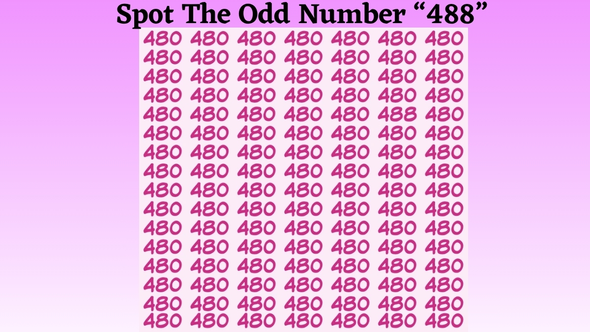 Only Those Who Possess 20/20 Eye Vision Can Spot The Odd Number “488” Among The “480” Sequence Series